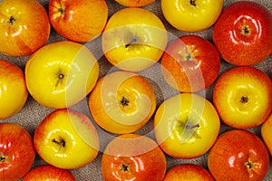 Yellow and red apples