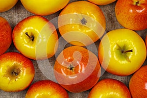 Yellow and red apples