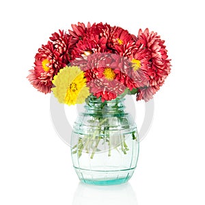 Yellow and red autumn flowers in vase