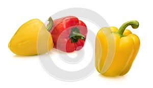 Yellow and red bell pepper isolated