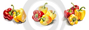 Yellow and red bell pepper, watercolor painting style illustration.