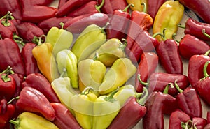 Yellow and red bell peppers background - capsicum