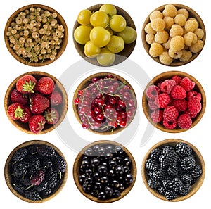 Yellow, red and black food. Berries isolated on white background.