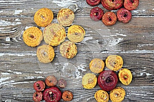 Yellow and red bulbs of gladioli lie in the form of flowers on a seorm background. Top view