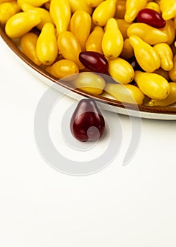 Yellow and red Cornelian cherry dogwood or cornus mas beries. Healthy low carb berry. Pulpy, sweet and sour fruit.