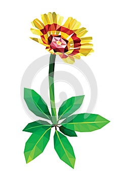 Yellow red daisy isolated green fresh leaf on white background low polygon design.