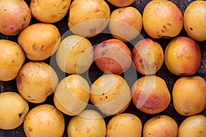 Yellow and red farmer aprium, mix of plum and apricot, background, top view, flat lay