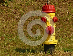 Yellow and red fire hydrant