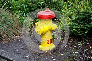 A yellow and red fire hydrant