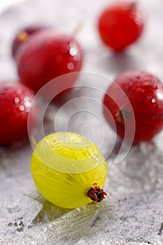 Yellow and red gooseberries