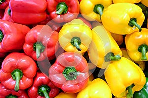 Yellow, red and green bell pepper