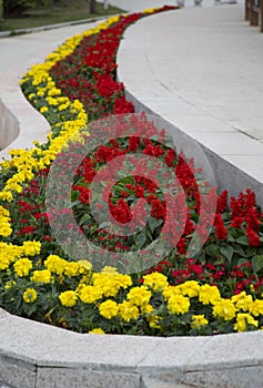 Yellow, red and green spring raise flower bed design