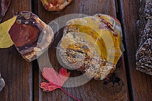 Yellow and Red Jasper Rock