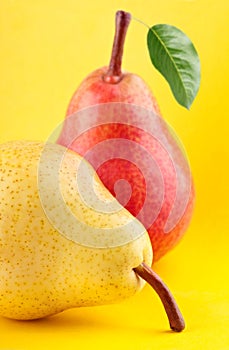 Yellow and red pear fruits with green leaf on yellow background