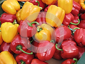 Yellow and red peppers