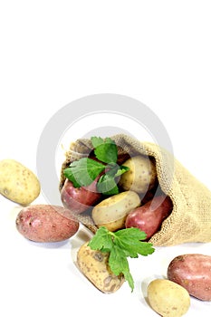 Yellow and red potatoes in the bag