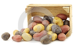 Yellow, red and purple potatoes
