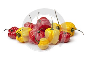 Yellow and red Scotch bonnet chili peppers photo