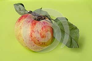 Yellow-red striped apple on an green background