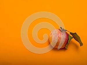 Yellow-red striped apple on an orange background