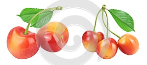 yellow-red sweet cherry isolated on white background with full depth of field