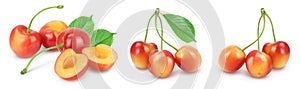 yellow-red sweet cherry isolated on white background with full depth of field, Set or collection