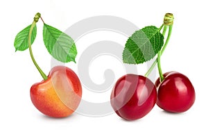 yellow and red sweet cherry isolated on white background with full depth of field. Set or collection.