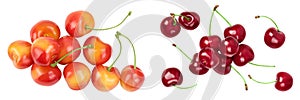 yellow-red sweet cherry isolated on white background. Top view. Flat lay