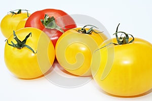 Yellow and Red Tomatoes