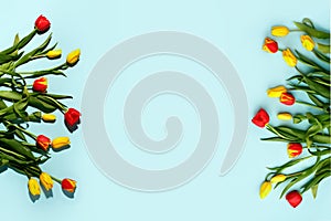 Yellow red  tulip flowers bouquet with hard and soft shadow on blue, copy space. Banner for seasonal holiday, springtime concept,