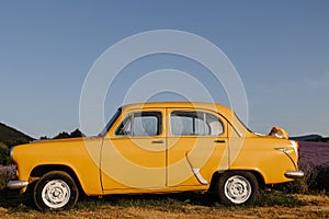 Yellow retro car in a lavender field in the morning with fog and sun