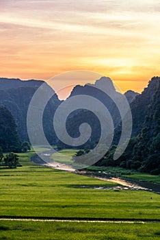 Yellow rice field on Ngo Dong river in Tam Coc Bich Dong from mountain top view in Ninh Binh, Viet Nam