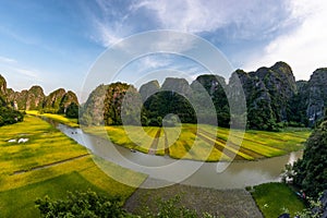 Yellow rice field on Ngo Dong river in Tam Coc Bich Dong from mountain top view in Ninh Binh, Viet Nam