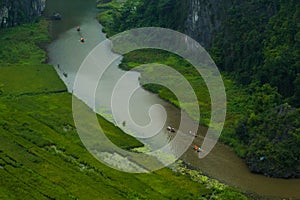 Yellow rice field on Ngo river in Tam Coc Bich from mountain top view in Ninh Binh