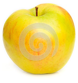 Yellow ripe apple