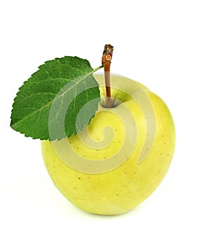 Yellow ripe apple with a leaf