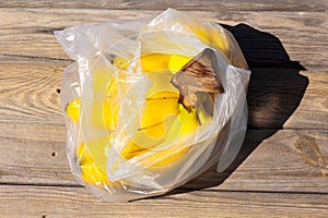 Yellow ripe bananas in plastic bag on wooden surface with sharp shadows. Fresh organic fruits on sunny day. Shopping concept. Top