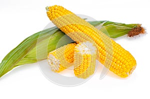 Yellow ripe ear of corn, isolated on white. Close-up