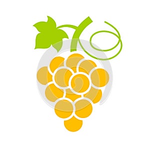 Yellow ripe grape vector icon