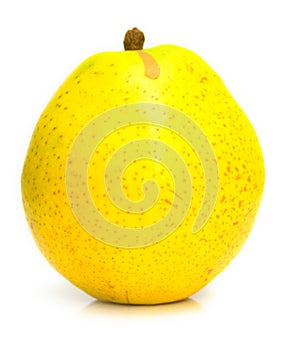 Yellow ripe pear 2