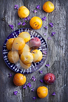 Yellow ripe plums on beautiful ceramic plate among flowers on rustic light grey wooden table background