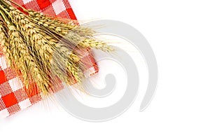 Yellow wheat bundle on white background