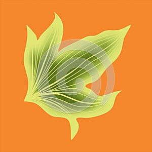 yellow ripple Hedera helix Vector with white background