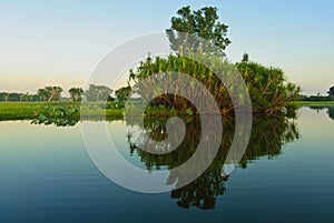 Yellow river billabong