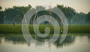 Yellow river billabong