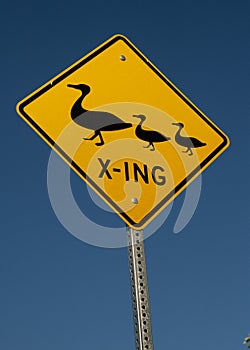 Yellow road sign with black graphic of a mother duck and two ducklings stating duck crossing