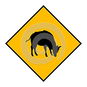 Yellow road sign: Cow Crossing Zone. warning signal. Drive slowly for animal safety.