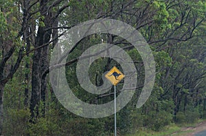 Yellow road sign with kangaroo silhouette. Road trip in Australia