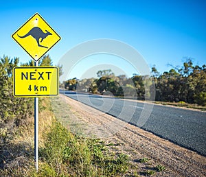 Yellow Road Sign, Kangaroos Ahead.