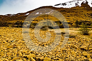 Yellow rock formations of the Table lands. Gros Morne National Park Newfoundland Canada